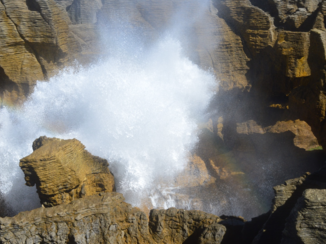 Nieuw-Zeeland - Woest