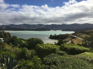 Nieuw-Zeeland - Uitzicht van een van de airbnb