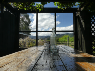 Nieuw-Zeeland - Wijncultuur op Marlborough