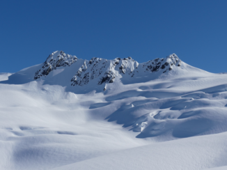 Nieuw-Zeeland - Boven op de Franz Joseph gletcher