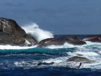Nieuw-Zeeland - Doubtfull