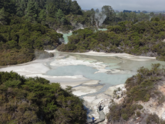 Nieuw-Zeeland - Wai-o-tapu // Rotorua