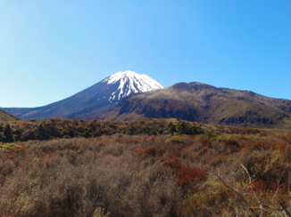 Nieuw-Zeeland - Mount Doom