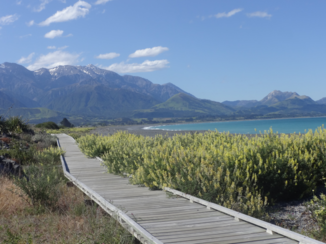 Nieuw-Zeeland - Kaikoura