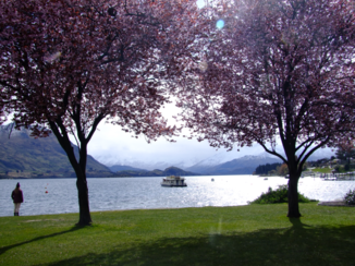 Nieuw-Zeeland - Het schitterende meer bij Wanaka