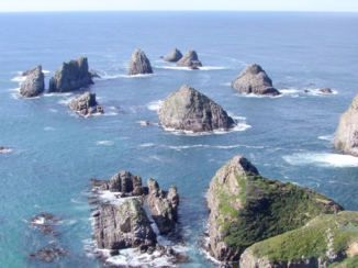 Nieuw-Zeeland - Nuggit Point