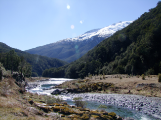 Nieuw-Zeeland - Haast Pass