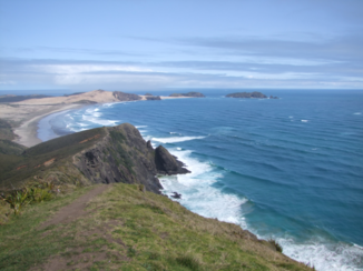 Nieuw-Zeeland - Cape Regina