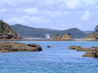 Nieuw-Zeeland - Bay of Islands