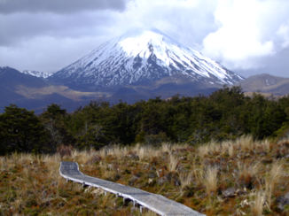 Nieuw-Zeeland - Tongairio national park, lake Taupo