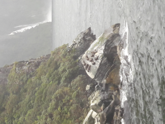 Nieuw-Zeeland - Milford Sound