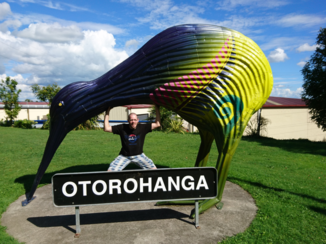 Nieuw-Zeeland - Ff vogeltje tillen