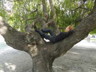 Queenstown - Queenstown strand