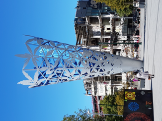 Nieuw-Zeeland - Verdriet en Hoop