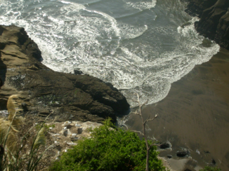 Rondreis Nieuw-Zeeland in zes weken - Broedplaats Jan van Genten