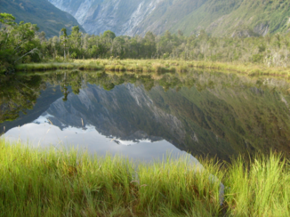 Rondreis Nieuw-Zeeland in zes weken - Zo mooi is de natuur op het zuidelijk eiland!