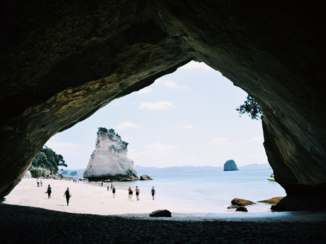 Nieuw-Zeeland - Looking at the bright side of life