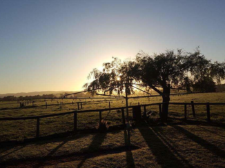 Nieuw-Zeeland - Zom1gezin aar een foto
