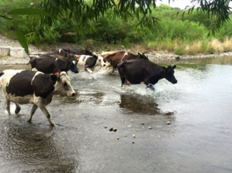 Nieuw-Zeeland - Waar mijn neef werkt