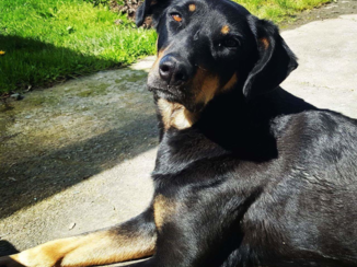 Nieuw-Zeeland - En Bruno die mag ik niet vergeten