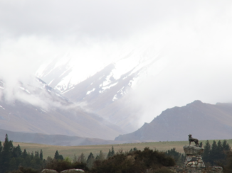 Nieuw-Zeeland - Lake Tekapo