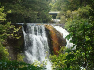 Nieuw-Zeeland - Te Urewera Nationalpark