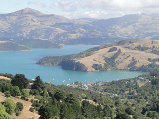 Nieuw-Zeeland - akaroa pensinsula