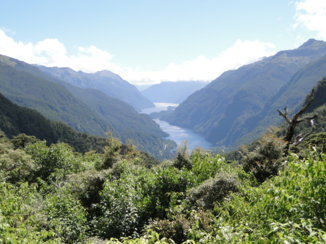 Nieuw-Zeeland - doubtful sound