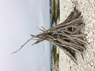 Tongariro National Park - Stilleven...Kaikoura.