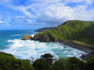 Nieuw-Zeeland - Whitebeach