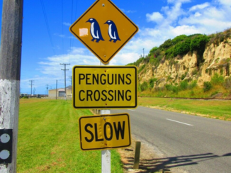 Nieuw-Zeeland - Oamura