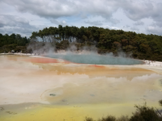 Nieuw-Zeeland - Thermische bron