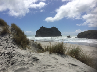 Nieuw-Zeeland - Abel Tasman Park