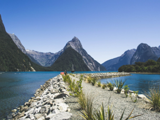 Nieuw-Zeeland - Milford Sound