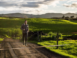 Nieuw-Zeeland - Morrinsville farmer