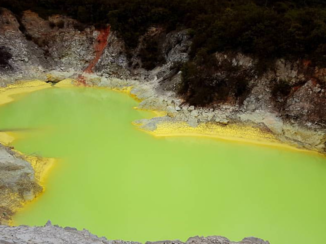 Nieuw-Zeeland - Rotorua