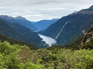 Rondreis Nieuw-Zeeland in zes weken - Doubtfull Sound