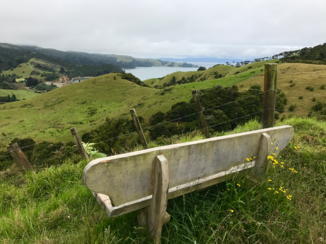 Rondreis Nieuw-Zeeland in zes weken - Waiheke