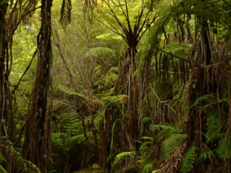 Nieuw-Zeeland - Abel Tasman Nat. Park