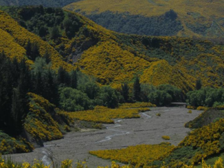 Nieuw-Zeeland - Inland Route
