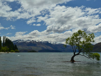 Nieuw-Zeeland - Lake Wanaka