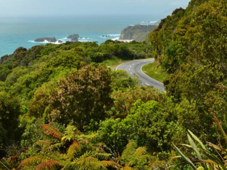 Nieuw-Zeeland - West Coast