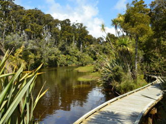 Nieuw-Zeeland - West Coast, Ship Creek