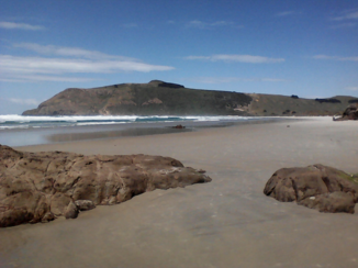 Nieuw-Zeeland - Omgeving PORTOBELLO