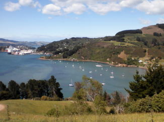 Nieuw-Zeeland - Dunedin  haven