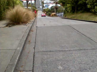 Nieuw-Zeeland - Dunedin Baldwin street (steilste straat ter wereld)