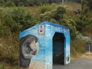 Nieuw-Zeeland - Portobello bushalte