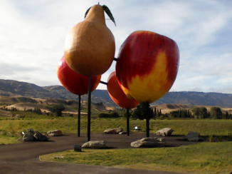 Nieuw-Zeeland - CROMWELL de wijnstreek