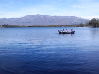 Nieuw-Zeeland - LAKE TEKAPO