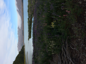 Lake Tekapo
